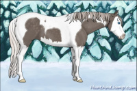 Horse Color:Silver Black Splash Tobiano