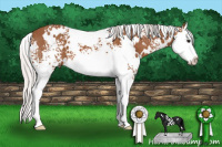 Horse Color:White Spotted Silver Bay Splash 