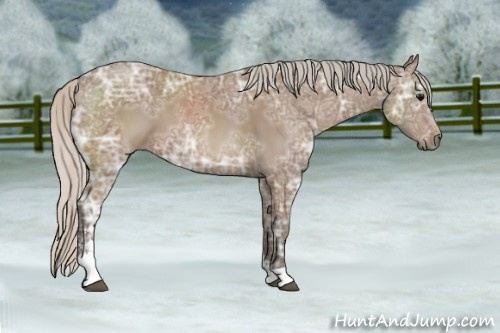 Horse Color: Silver Black Ice Sabino 