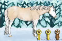 Horse Color:Silver Amber Champagne Pearl Sabino Splash 