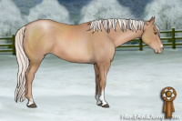 Horse Color:Silver Black Pearl Sabino 