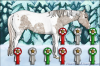 Horse Color:Silver Grullo Ice Tobiano 