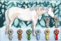 Horse Color:Silver Classic Champagne Ice Dun Splash Tobiano
