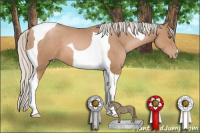 Horse Color:Silver Black Pearl Tobiano 