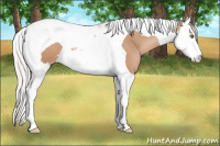 Horse Color:Silver Black Pearl Splash Tobiano