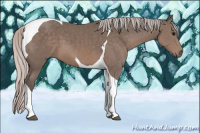 Horse Color:Silver Black Sabino Tobiano 