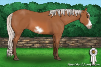 Horse Color:Silver Bay Sabino Frame 