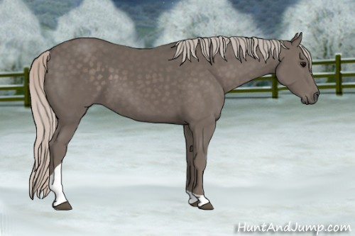 Horse Color: Silver Black Tobiano 