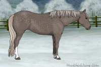 Horse Color:Silver Black Tobiano 
