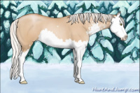 Horse Color:Silver Bay Pearl Dun Sabino Splash 