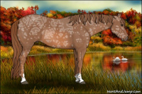 Horse Color:Chestnut Ice Sabino 