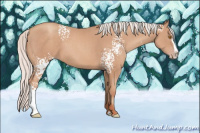 Horse Color:White Spotted Silver Classic Champagne Splash 