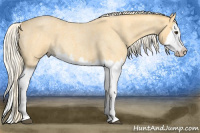 Horse Color:Palomino Roan Splash 