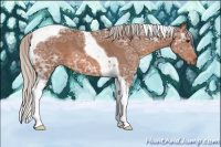 Horse Color:Silver Brown Ice Tobiano 
