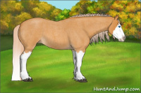 Horse Color:Palomino Roan Splash 