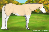 Horse Color:Silver Buckskin Roan Splash