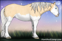 Horse Color:Silver Buckskin Roan Splash 