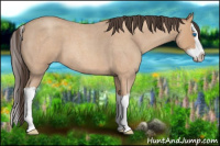 Horse Color:Amber Champagne Roan Splash 