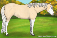 Horse Color:Silver Buckskin Roan Splash