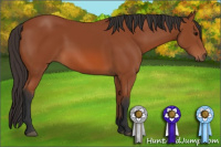 Horse Color:Bay Rabicano 