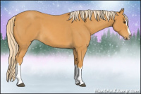 Horse Color:Palomino Roan Splash 