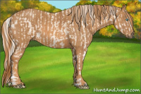 Horse Color:Cremello Sabino  Brindle