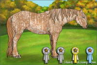 Horse Color:Perlino Sabino Brindle