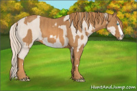 Horse Color:Smoky Creme Sabino  Brindle