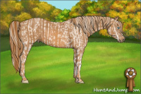 Horse Color:Perlino Sabino  Brindle
