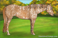 Horse Color:Cremello Sabino  Brindle