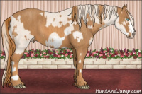 Horse Color:Perlino Sabino  Brindle