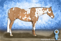 Horse Color:Perlino Sabino Appaloosa Brindle