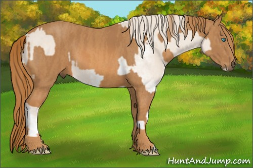 Horse Color: Perlino Sabino  Brindle