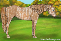 Horse Color:Smoky Creme Sabino  Brindle