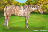 Horse Color:Silver Smoky Creme Sabino  Brindle
