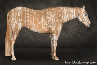 Horse Color:Perlino Sabino Brindle