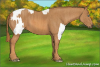 Horse Color:Perlino Sabino Brindle