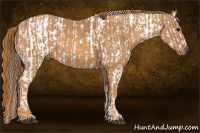 Horse Color:Brown Roan Appaloosa  Brindle