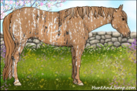 Horse Color:Brown Near Leopard  Brindle