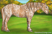 Horse Color:Perlino Dun Blanket  Brindle