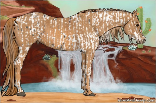 Horse Color: Brown Roan Blanket  Brindle