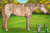 Horse Color:Buckskin Pearl Appaloosa  Brindle