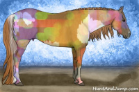 Horse Color:Brown Appaloosa  Brindle