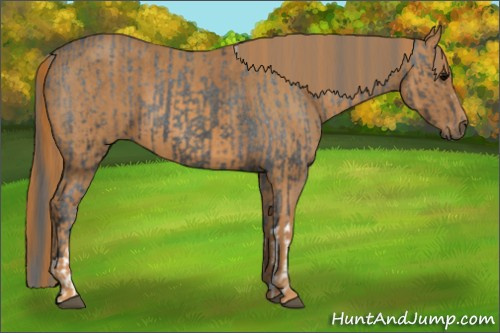 Horse Color: Brown Varnish  Brindle