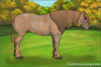 Horse Color:Brown Roan Blanket  Brindle