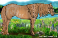 Horse Color:Liver Red Dun Splash  Brindle