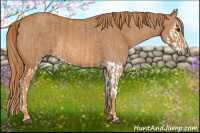 Horse Color:Red Dun Splash Brindle