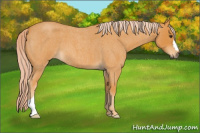 Horse Color:Chocolate Palomino Roan 