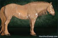 Horse Color:Red Dun Splash Brindle