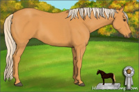 Horse Color:Chocolate Palomino 